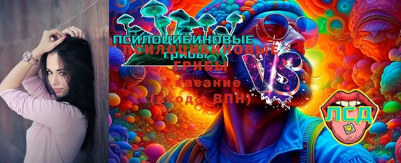 Галлюциногенные грибы MAGIC MUSHROOMS  Бикин 